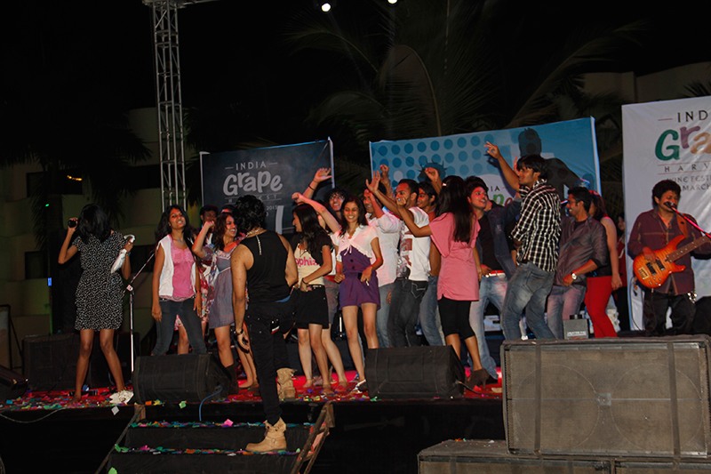 India Grape Harvest 2013