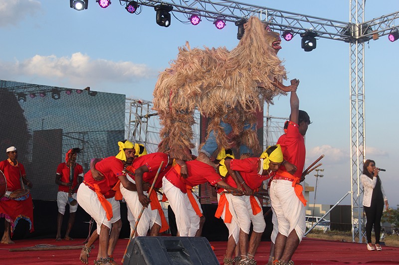 India Grape Harvest 2014