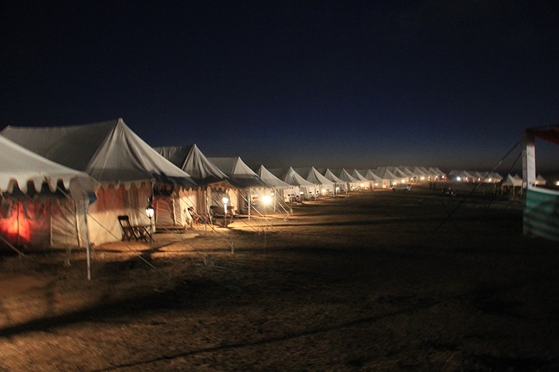 India Grape Harvest 2014