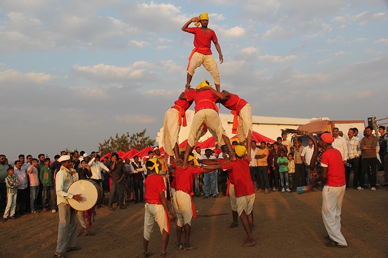India Grape Harvest 2014
