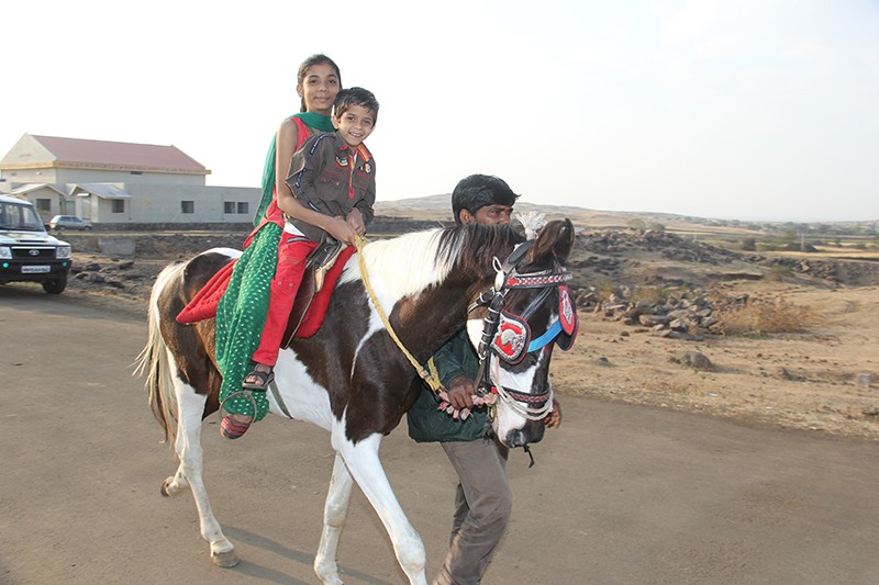 India Grape Harvest 2014