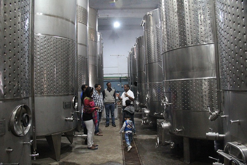 India Grape Harvest 2014