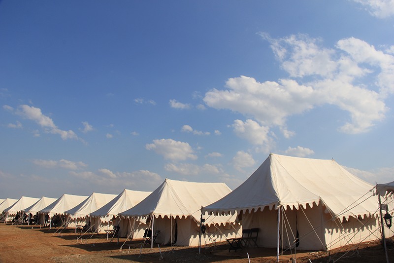 India Grape Harvest 2014