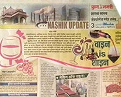 India Grape Harvest 2014