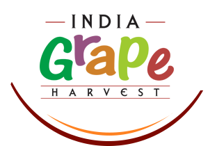 India Grape Harvest