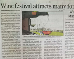 India Grape Harvest 2013