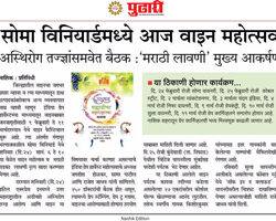 India Grape Harvest 2013