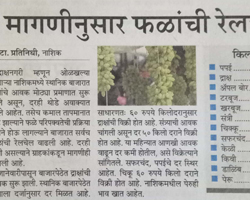 India Grape Harvest 2013