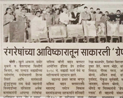 India Grape Harvest 2013