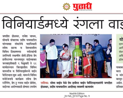 India Grape Harvest 2013