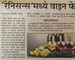 India Grape Harvest 2013