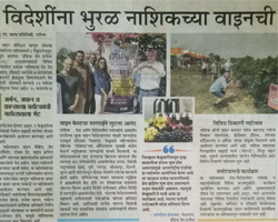 India Grape Harvest 2013