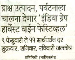 India Grape Harvest 2013