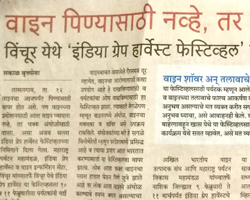 India Grape Harvest 2013