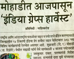 India Grape Harvest 2013