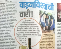 India Grape Harvest 2013