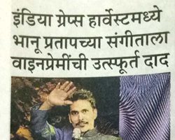 India Grape Harvest 2013