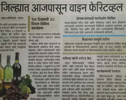 India Grape Harvest 2013