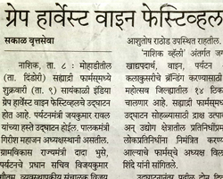 India Grape Harvest 2013