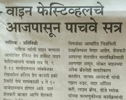 India Grape Harvest 2014