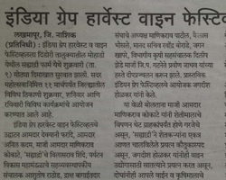 India Grape Harvest 2013