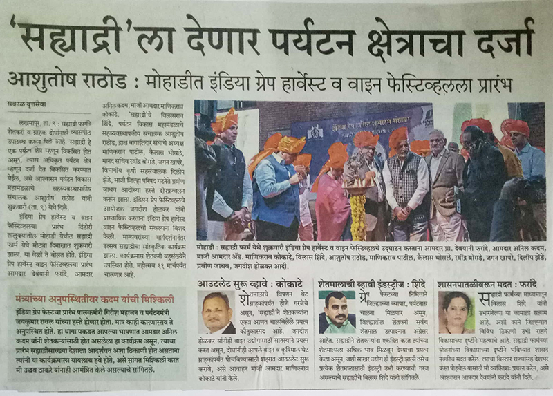 India Grape Harvest 2013