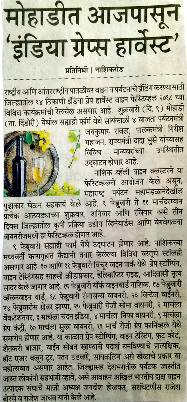 India Grape Harvest 2013