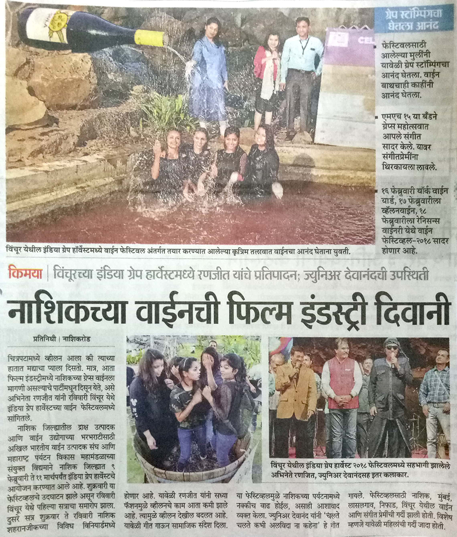 India Grape Harvest 2013